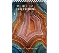 Il più e il meno