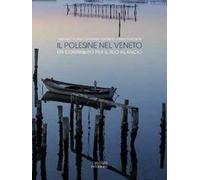 Il Polesine nel Veneto. Un contributo per il suo rilancio