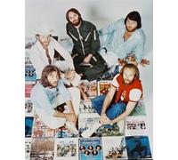 Il Poster Dei Beach Boys 24x20"