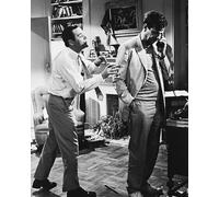 Il Poster Del Film La Strana Coppia 20x16" Immagine Iconica 177773