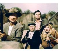 Il Poster Del Film The Beverly Hillbillies 24x20" Immagine Bella 276129