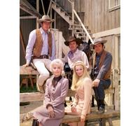 Il Poster Del Film The Big Valley 24x20" Immagine Bellissima 261490