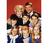 Il Poster Del Film The Brady Bunch 24x20" Foto Meravigliosa 221525