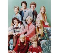 Il Poster Del Film The Brady Bunch 24x20" Immagine Meravigliosa 235417