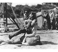 Il Poster Del Film The Dirty Dozen 24x20" Cool Pic 177207