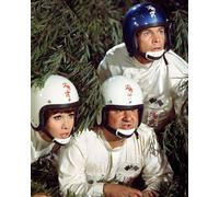 Il Poster Del Film The Love Bug 24x20"