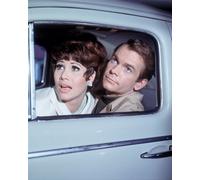 Il Poster Del Film The Love Bug 24x20" Ottimo Per I Fan 269775