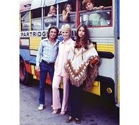 Il Poster Del Film The Partridge Family 24x20" Bella Immagine 264090