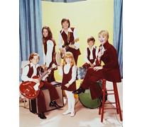 Il Poster Del Film The Partridge Family 24x20" Foto Stellare 218711