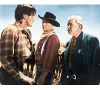 Il Poster Del Film THE SEARCHERS 24x20"