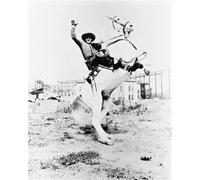 Il Poster Del Lone Ranger 24x20" Bella Immagine 16394