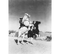 Il Poster Del Lone Ranger 24x20" Foto Meravigliosa 171323