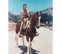 Il Poster Del Lone Ranger Stampa 24x20" Foto Fine 219158