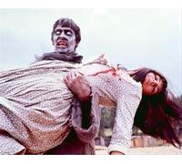 Il Poster Della Peste Dei Zombie 24x20"