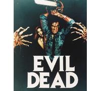 Il Poster Di THE EVIL DEAD 24x20" Iconica Immagine 235012