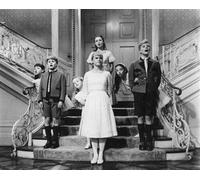 Il Poster Di The Sound Of Music 24x20"