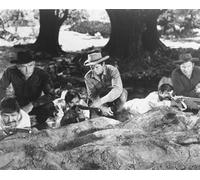 Il Poster Fotografico Del Film I Magnifici Sette 24x20"