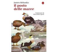 Il posto delle maree
