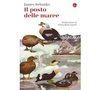 Il posto delle maree