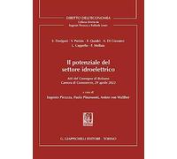Il potenziale del settore idroelettrico. Atti del Convegno di Bolzano 29 aprile 2022 tenutosi presso la Camera di Commercio, Industria, Artigianato e Agricoltura di Bolzano