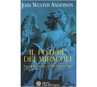 Il potere dei miracoli. Storie vere della presenza di Dio
