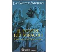 Il potere dei miracoli. Storie vere della presenza di Dio