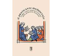 Il Praticante Medioevale: come sono sopravvissuto alla pratica forense