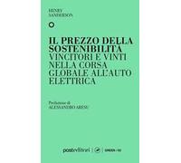 Il prezzo della sostenibilità. Vincitori e vinti nella corsa globale all'auto elettrica