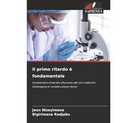 Il primo ritardo è fondamentale: Comprendere le barriere all'accesso alle cure ostetriche d'emergenza in contesti a basse risorse