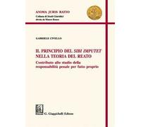 Il principio del «sibi imputet» nella teoria del reato. Contributo allo studio della responsabilità penale per fatto proprio