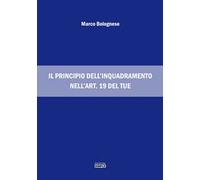 Il principio dell'inquadramento nell'art. 19 del TUE