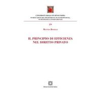 Il principio di efficienza nel diritto privato