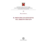 Il principio di efficienza nel diritto privato