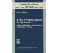 Il principio di precauzione nel diritto penale. Studio sui limiti all'anticipazione della tutela penale