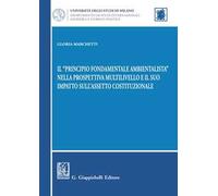 Il «principio fondamentale ambientalista» nella prospettiva multilivello e il suo impatto sull'assetto costituzionale
