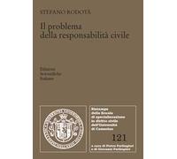 Il problema della responsabilità civile