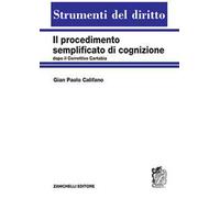 Il procedimento semplificato di cognizione dopo il Correttivo Cartabia