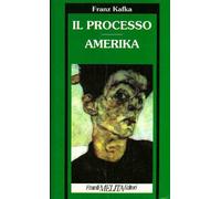 Il processo