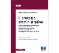 Il processo amministrativo