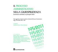 Il processo amministrativo nella giurisprudenza. Commento sistematico ai principali istituti