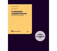 Il processo amministrativo. Questioni processuali