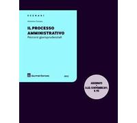 Il processo amministrtivo. Percorsi giurisprudenziali