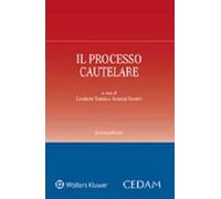 Il processo cautelare