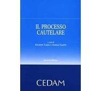 Il processo cautelare