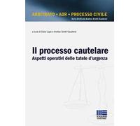 Il processo cautelare. Aspetti operativi delle tutele d'urgenza