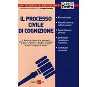 Il processo civile di cognizione