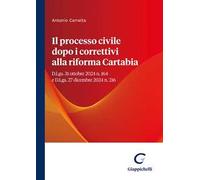 Il processo civile dopo i correttivi alla riforma Cartabia. D.Lgs. 31 ottobre 2024 n. 164 e D.Lgs. 27 dicembre 2024 n. 216