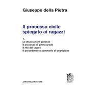 Il processo civile spiegato ai ragazzi. Per le Scuole superiori. Le disposizioni generali. Il processo di primo grado. Il rito del lavoro. Il procedimento sommario di cognizione (Vol. 1)