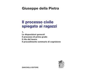 Il processo civile spiegato ai ragazzi. Per le Scuole superiori. Le disposizioni generali. Il processo di primo grado. Il rito del lavoro. Il procedimento sommario di cognizione (Vol. 1)