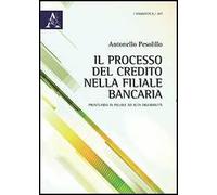 Il processo del credito nella filiale bancaria. Prontuario in pillole ad alta digeribilità